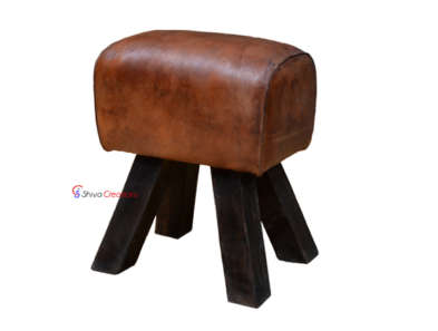 JLF--021 Leather gym stool